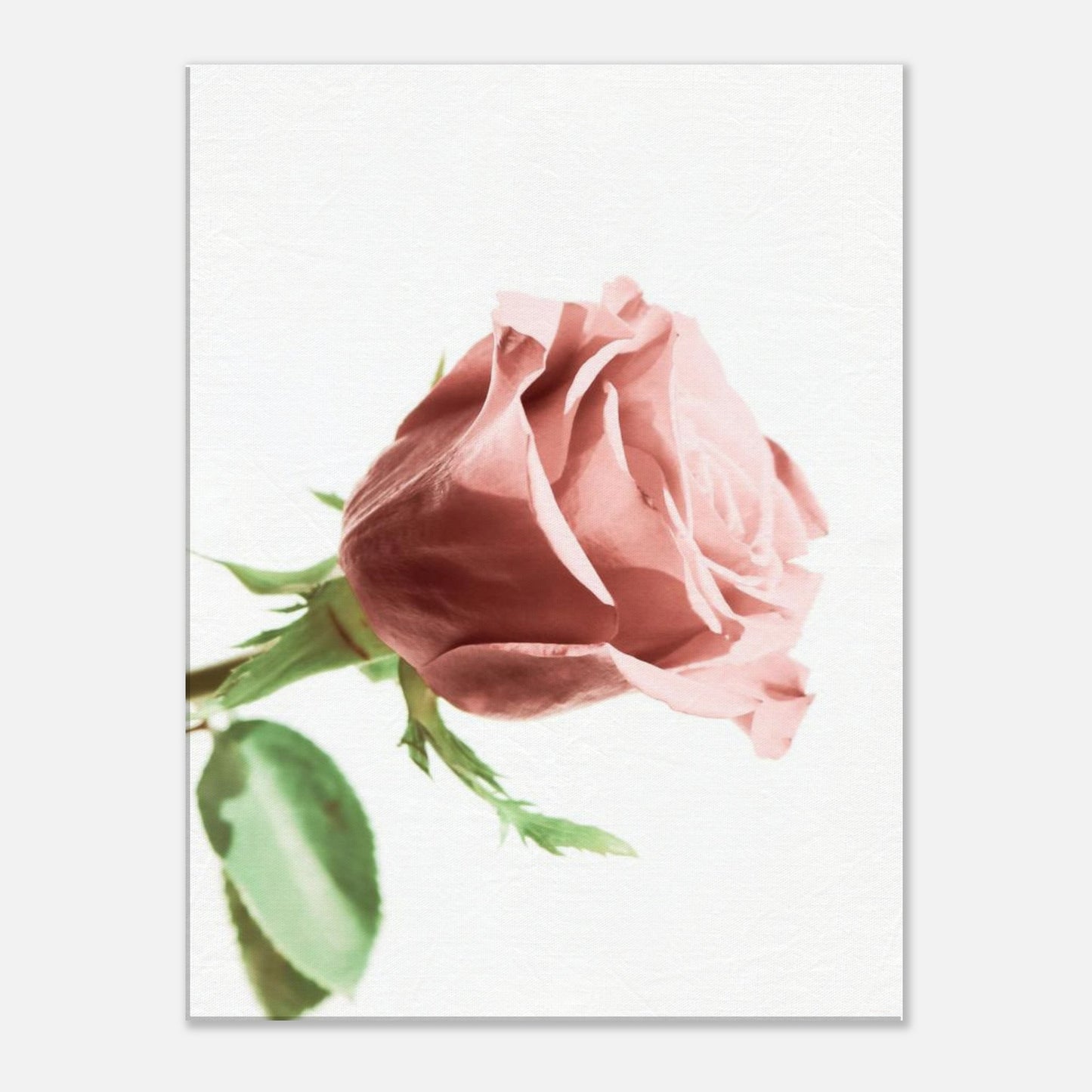 aa276b6c-ac2b-46d5-82d8-3a020fb82e66