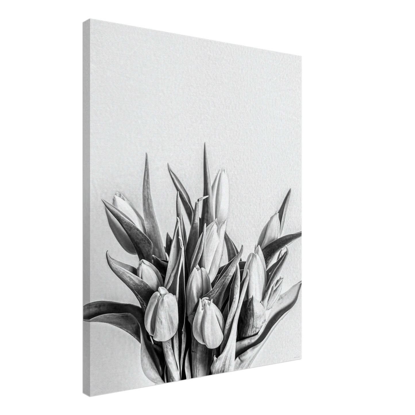 aa313ecb-477c-4ea9-b686-dcf0c54bd029