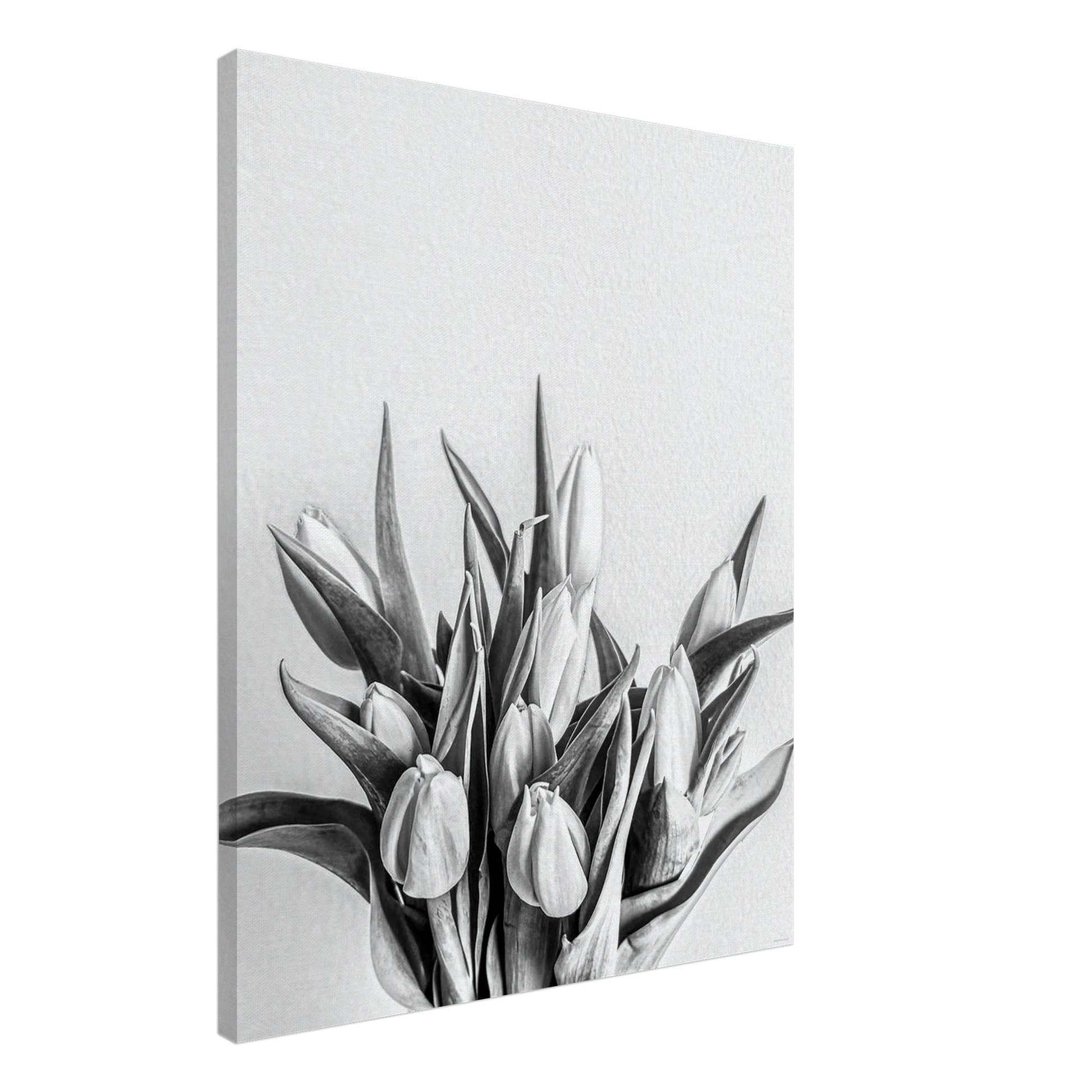 aa313ecb-477c-4ea9-b686-dcf0c54bd029