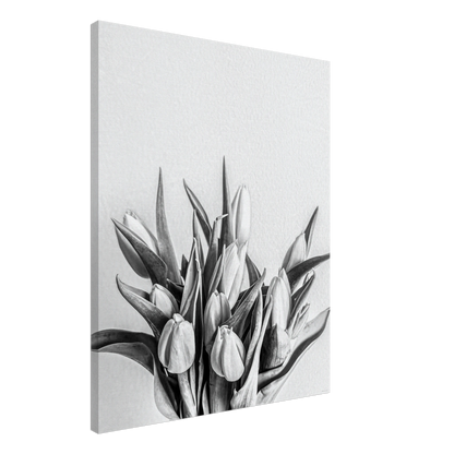 aa313ecb-477c-4ea9-b686-dcf0c54bd029