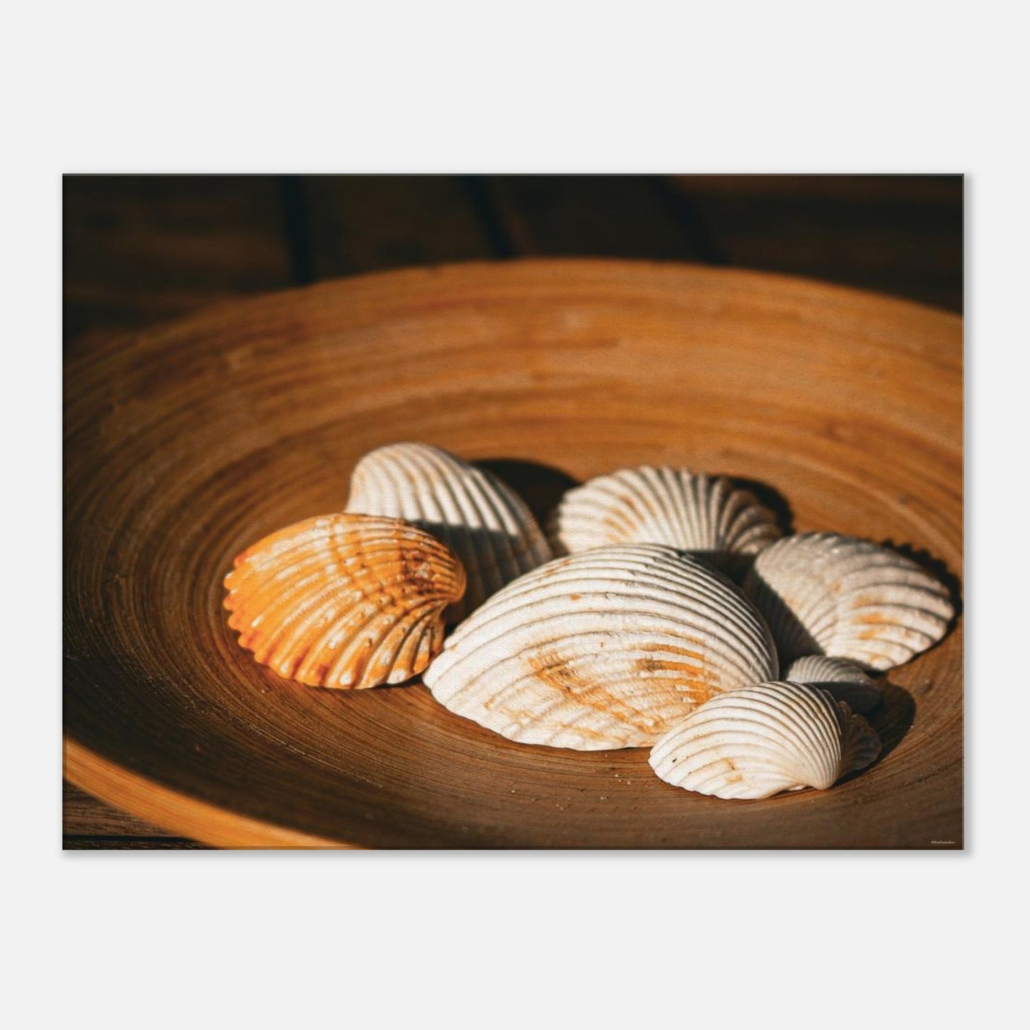 aa472481-da50-4fd0-b1c8-975f65dbd9a6