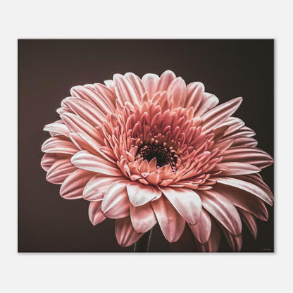 aa6e1943-7303-48fe-8163-1b6637d4ce48