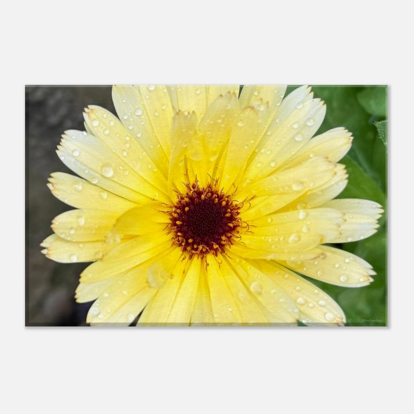 aa846368-5dff-4c0b-a140-2922ab8da170