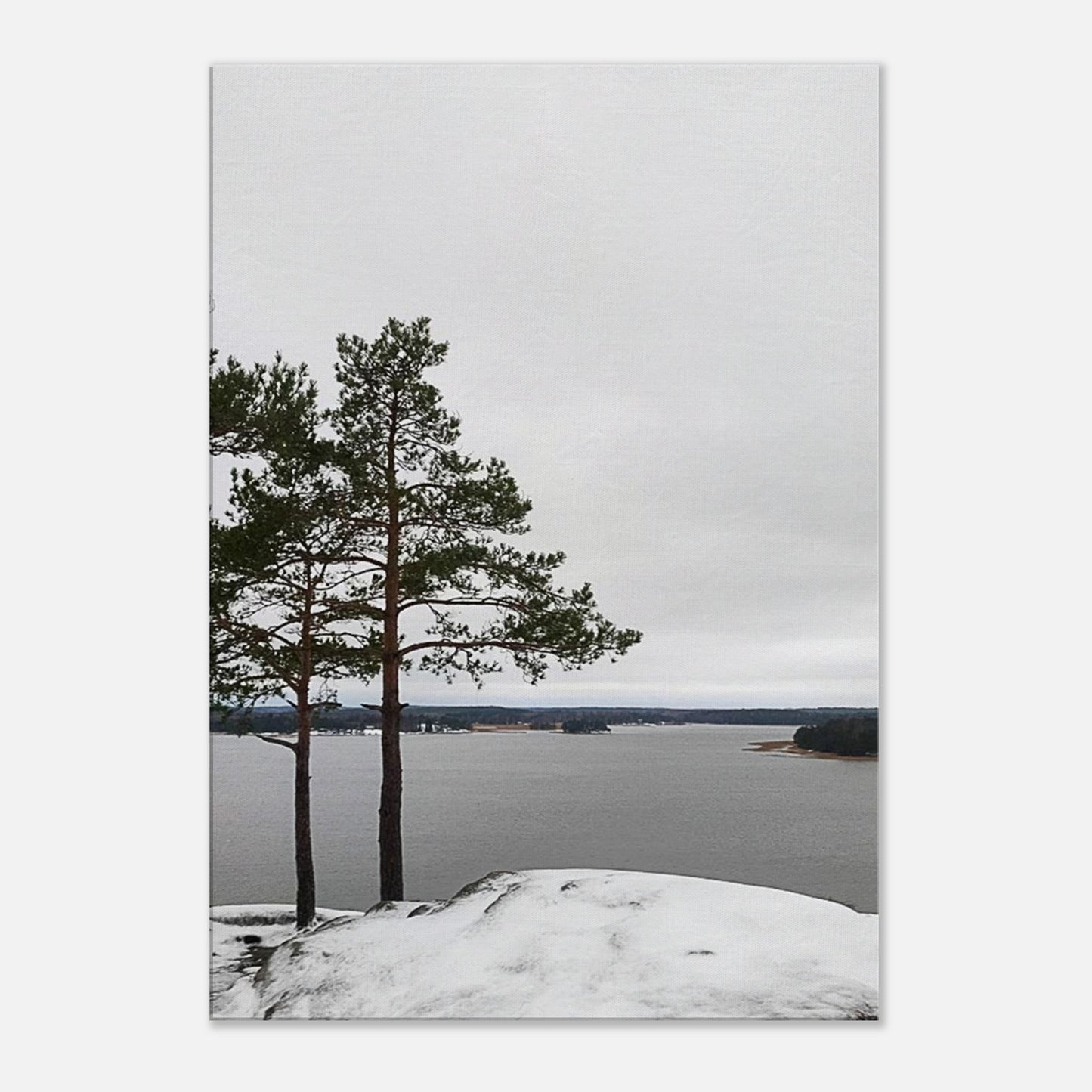 aaca76bf-d80e-4348-8579-2fd06c30edca