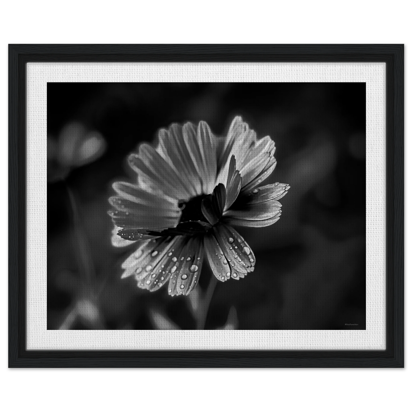 ab1557f1-6df3-463c-a63b-a6fc1231873b