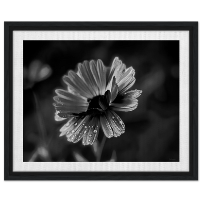 ab1557f1-6df3-463c-a63b-a6fc1231873b