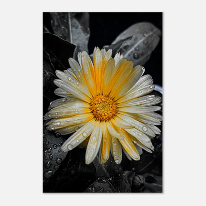 ab3eebd7-5dbe-452e-a616-323e9ce5274e