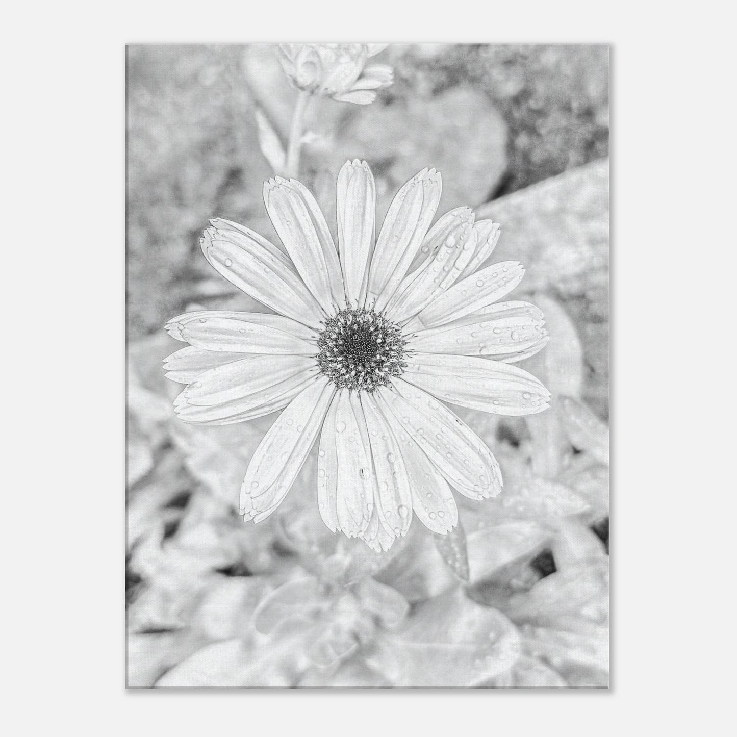 ab4303fe-c4c2-48a3-a809-9190eaa58af1