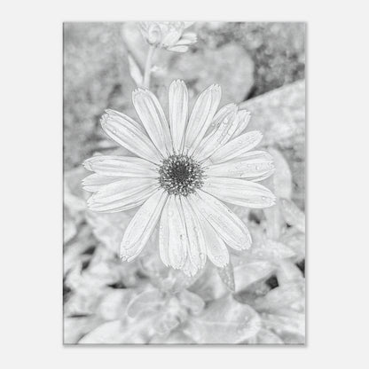 ab4303fe-c4c2-48a3-a809-9190eaa58af1