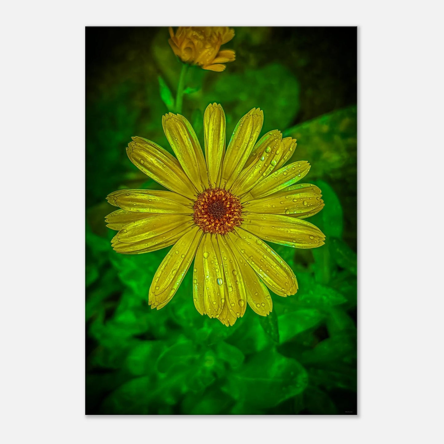 ab499a44-6d43-4c71-b4e7-311c490eb4e5