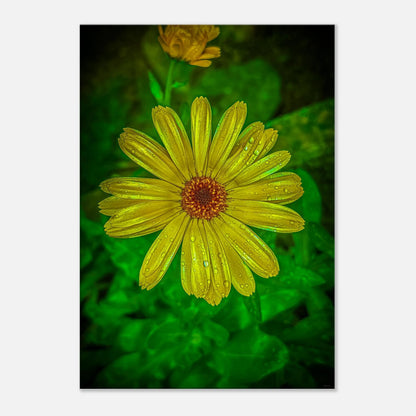 ab499a44-6d43-4c71-b4e7-311c490eb4e5