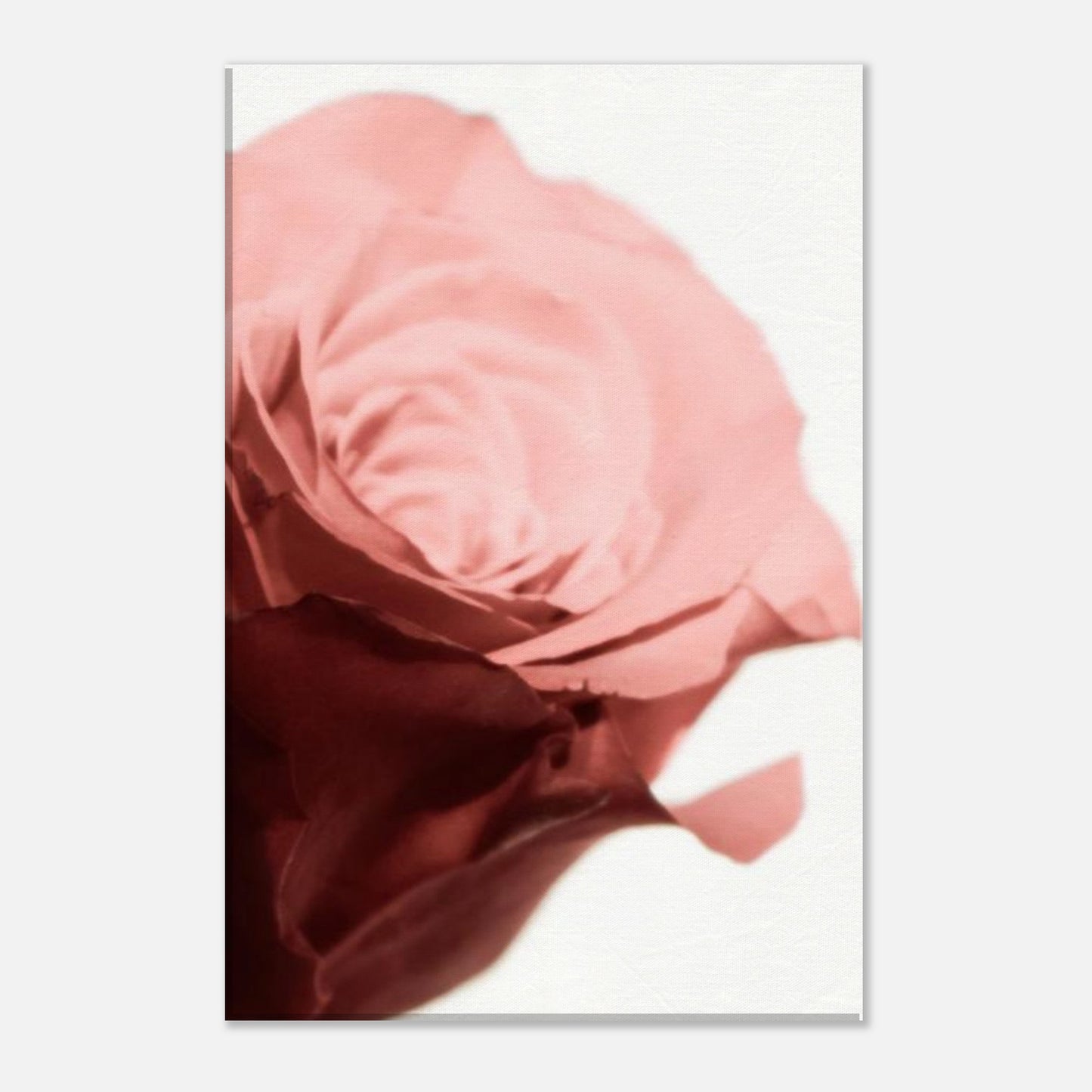 ab4f5561-bfa4-48aa-a997-61e4fc47c35c