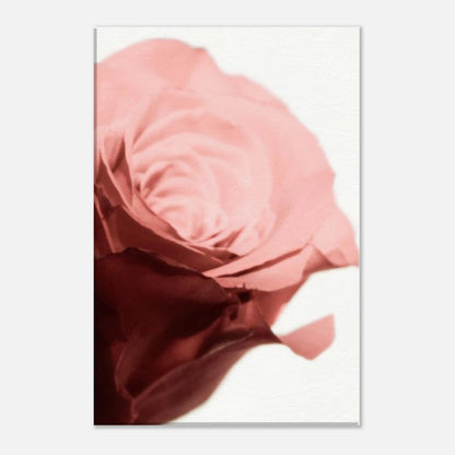 ab4f5561-bfa4-48aa-a997-61e4fc47c35c