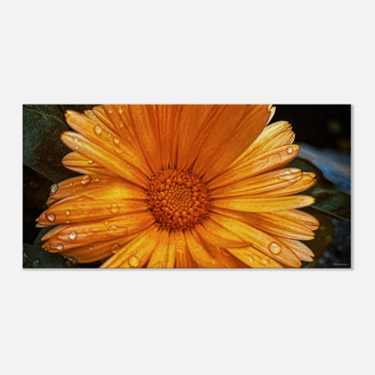 ab5038d5-b3ce-4cae-a5df-a152353cb7c4