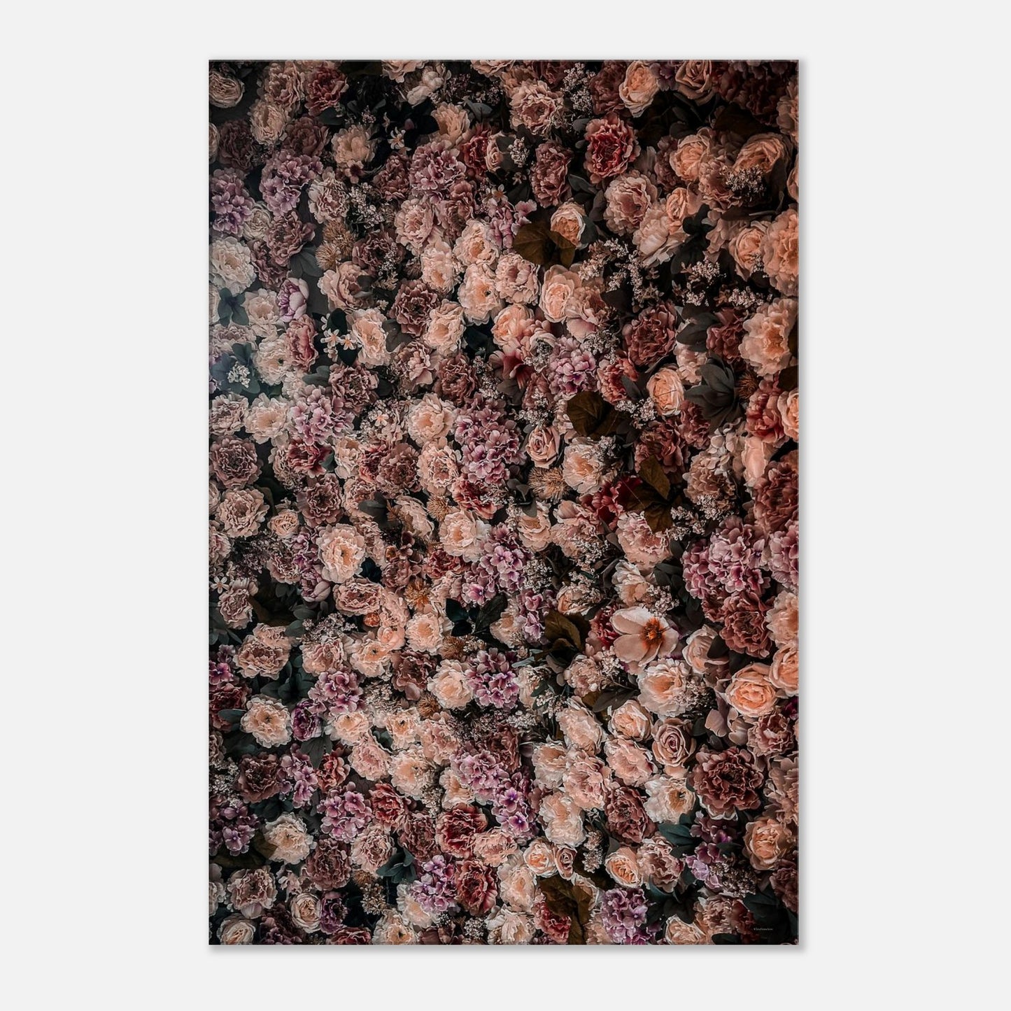 ab9bcd8d-2b7a-45a2-b4b8-f8dcf59a5751