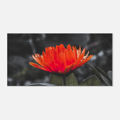 aba34c1b-c2c7-432d-acf8-2567f310d3d5