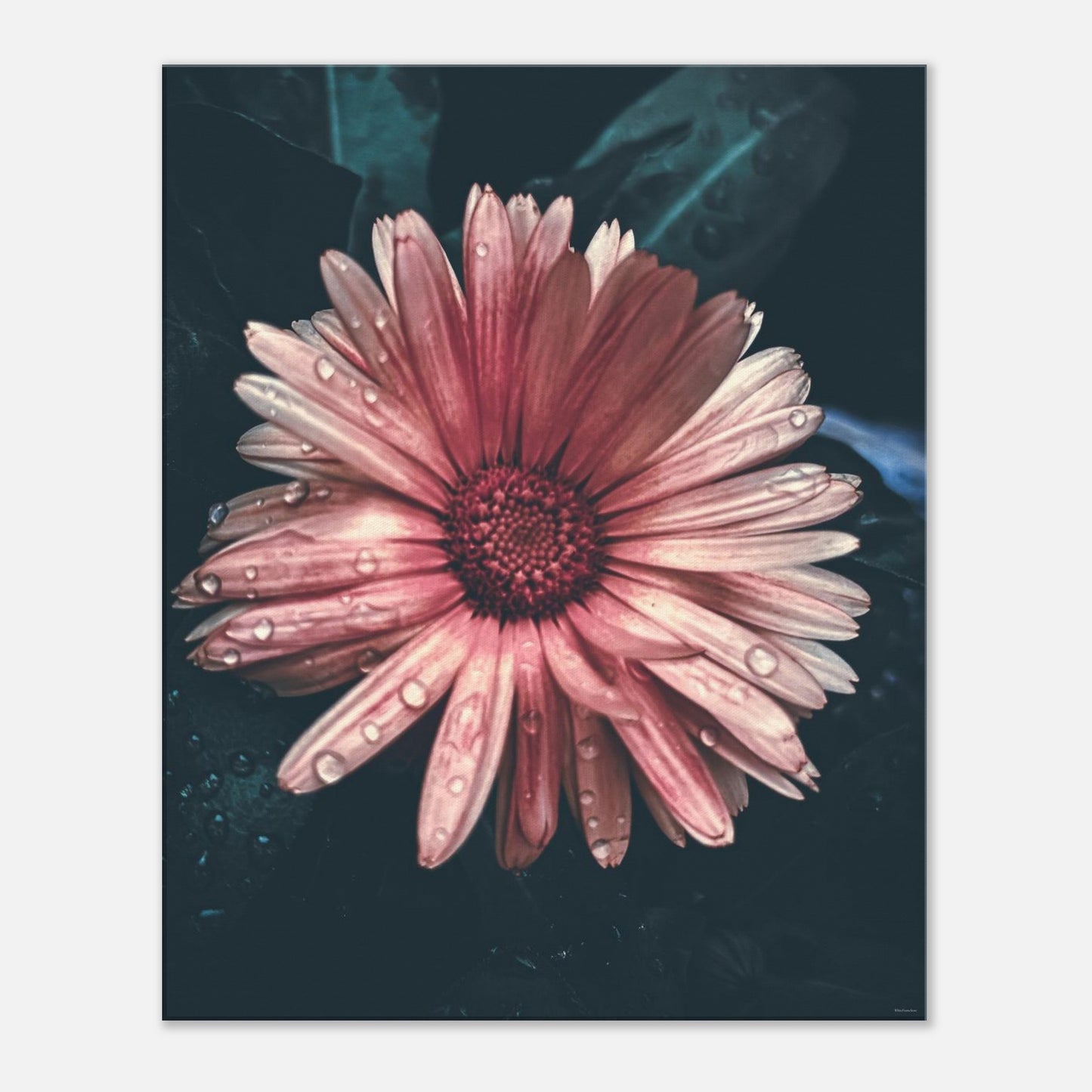 abe061d1-e153-4c85-af29-231a055c2a51