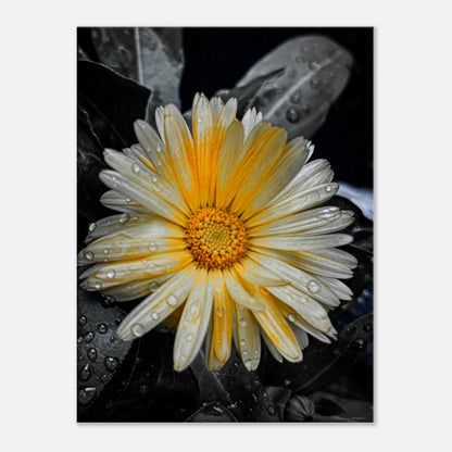 ac064376-d260-4cfc-899a-4c7ea31680ff