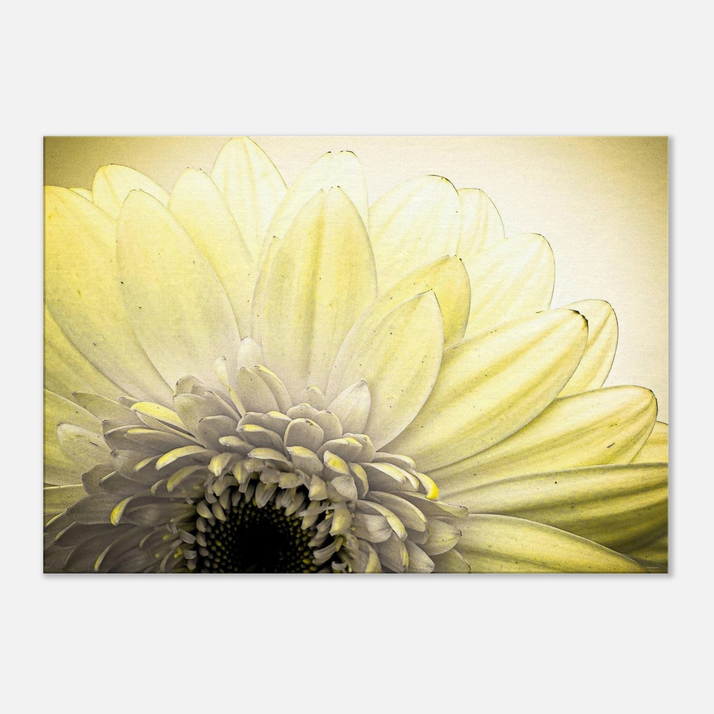 ac1bf8de-13c9-48ad-8b61-481821091c91