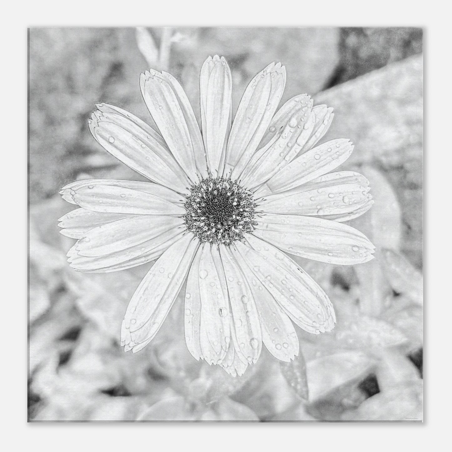 ac5da14f-001f-4cd8-9fa9-ff044b520cb6