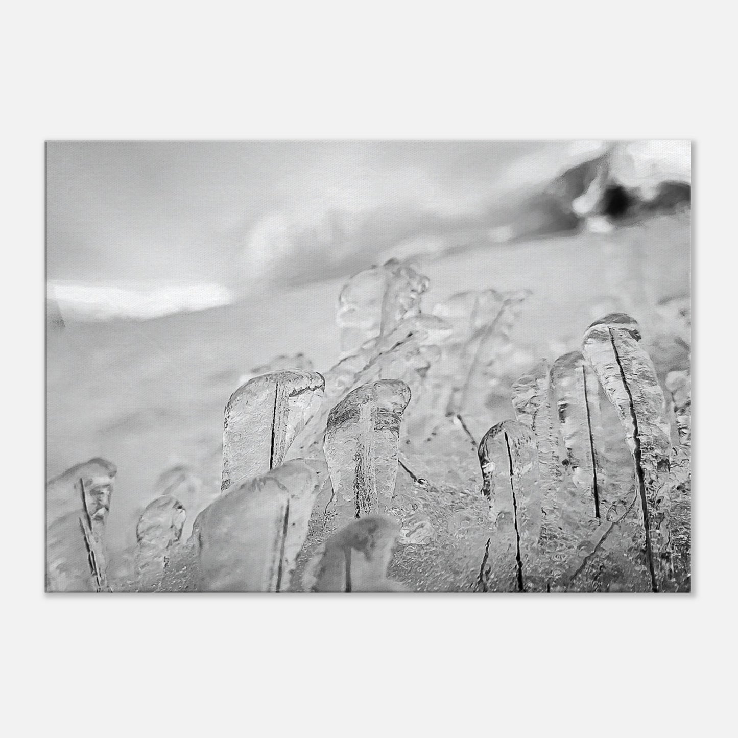 ac8e84c0-aa51-43a2-9fb9-b96436635b68