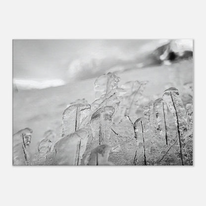 ac8e84c0-aa51-43a2-9fb9-b96436635b68