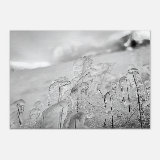 ac8e84c0-aa51-43a2-9fb9-b96436635b68