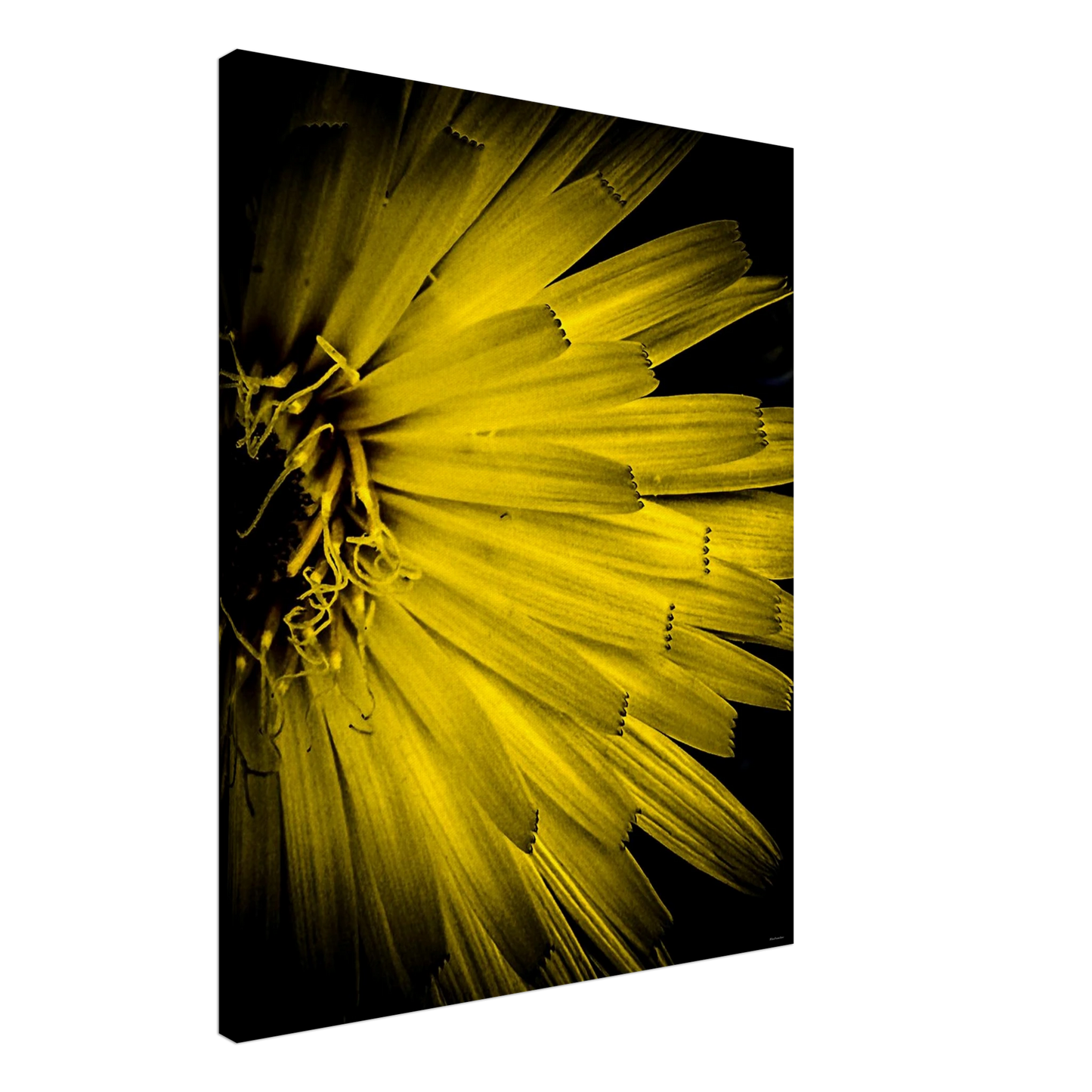 ac8f26c5-83d2-47c7-8d93-a70b0816f7f7