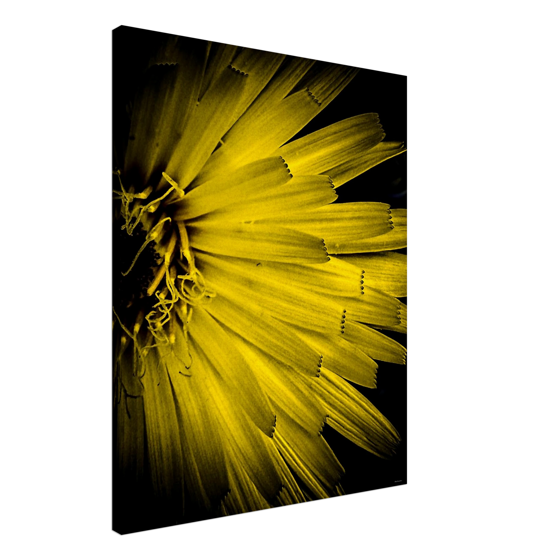 ac8f26c5-83d2-47c7-8d93-a70b0816f7f7