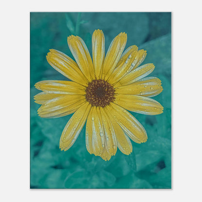 acb3bfa8-b61f-4daa-82ea-df04c67fdc2f