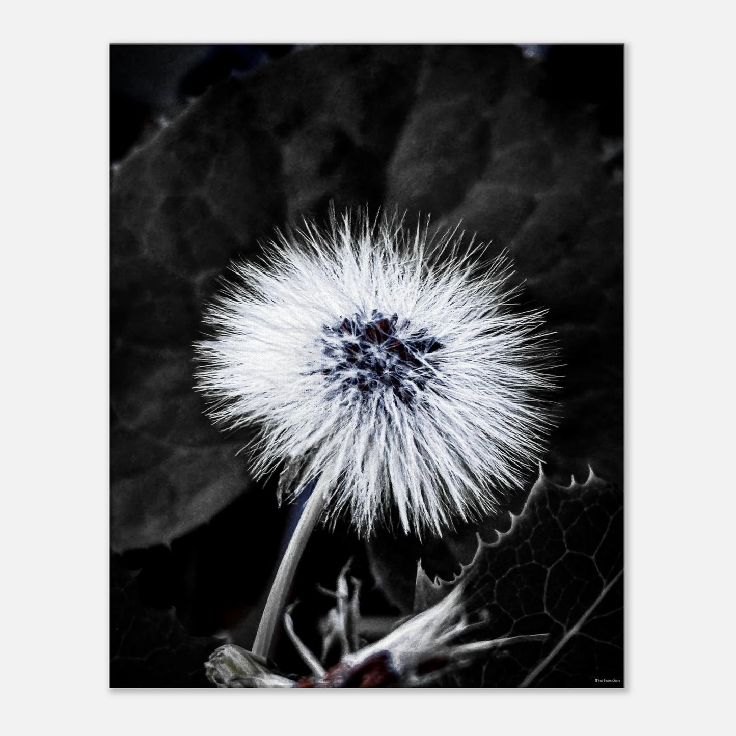 acbcfdc5-fdd6-4da9-a55d-c91c538f6940