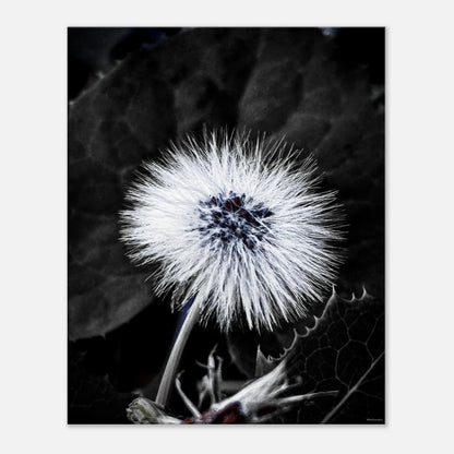 acbcfdc5-fdd6-4da9-a55d-c91c538f6940