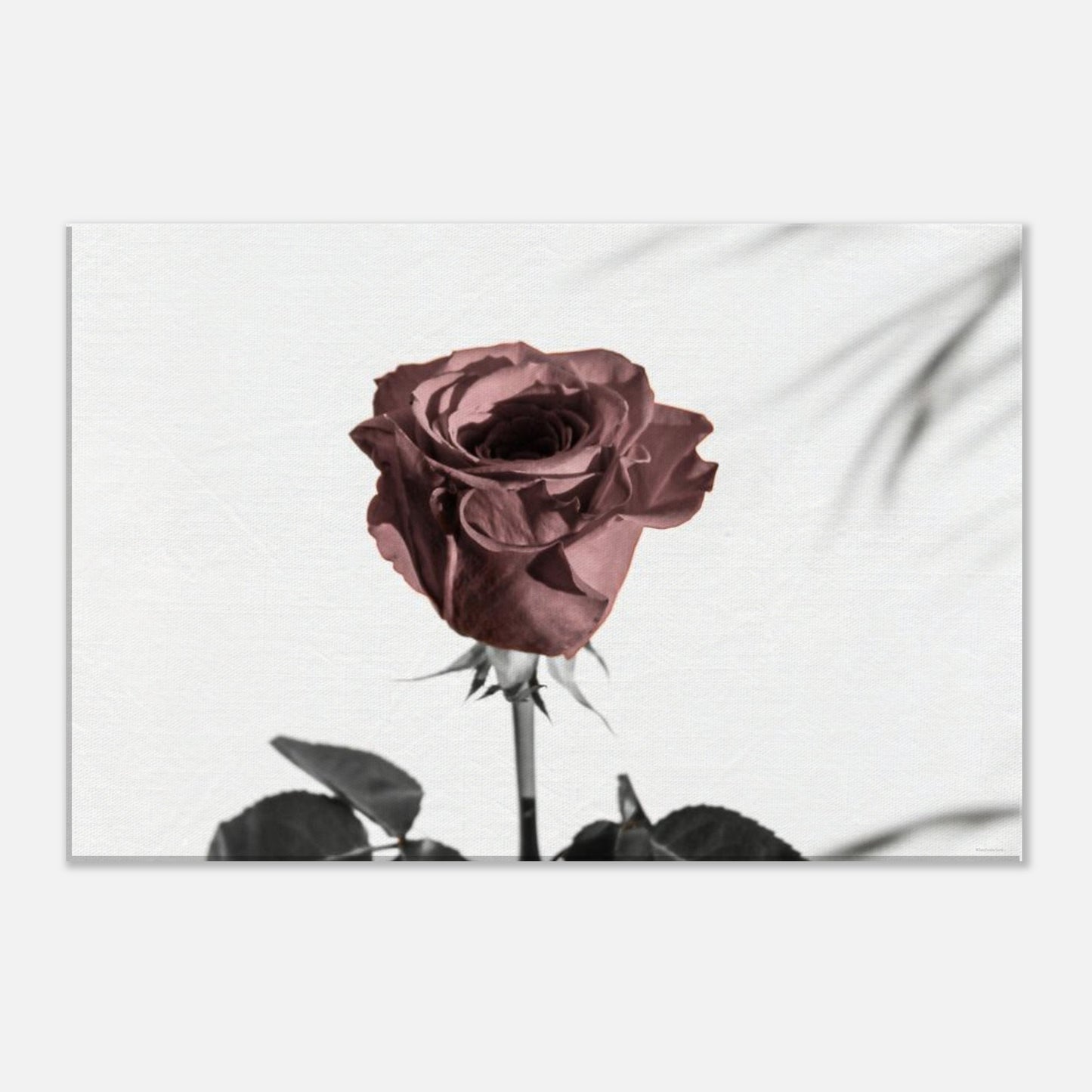 acc3160f-fa55-4963-aed6-4e2a4a73a355