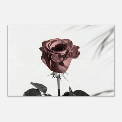 acc3160f-fa55-4963-aed6-4e2a4a73a355