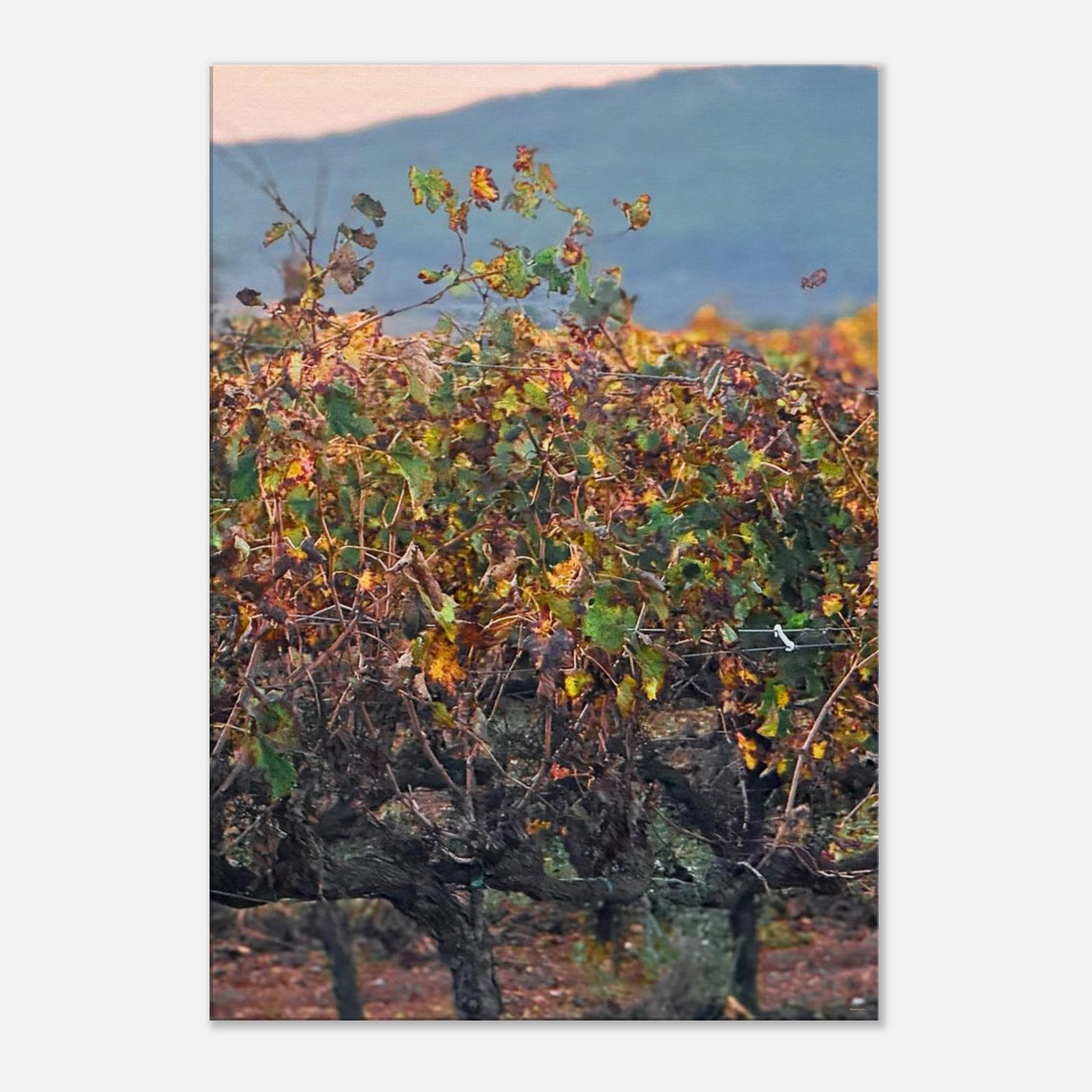 accabbd1-9cb2-4b4d-8623-457c3db726bb