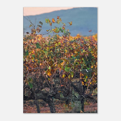 accabbd1-9cb2-4b4d-8623-457c3db726bb