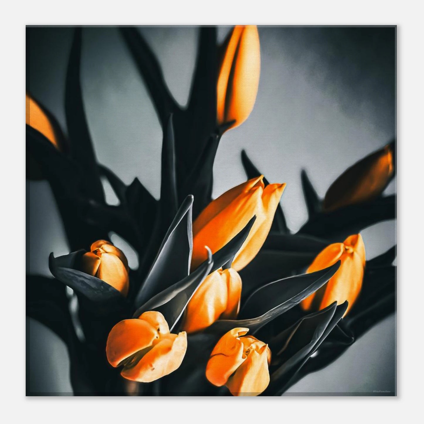 aced4b9b-32f0-4dab-9b5f-ee7659a822d0