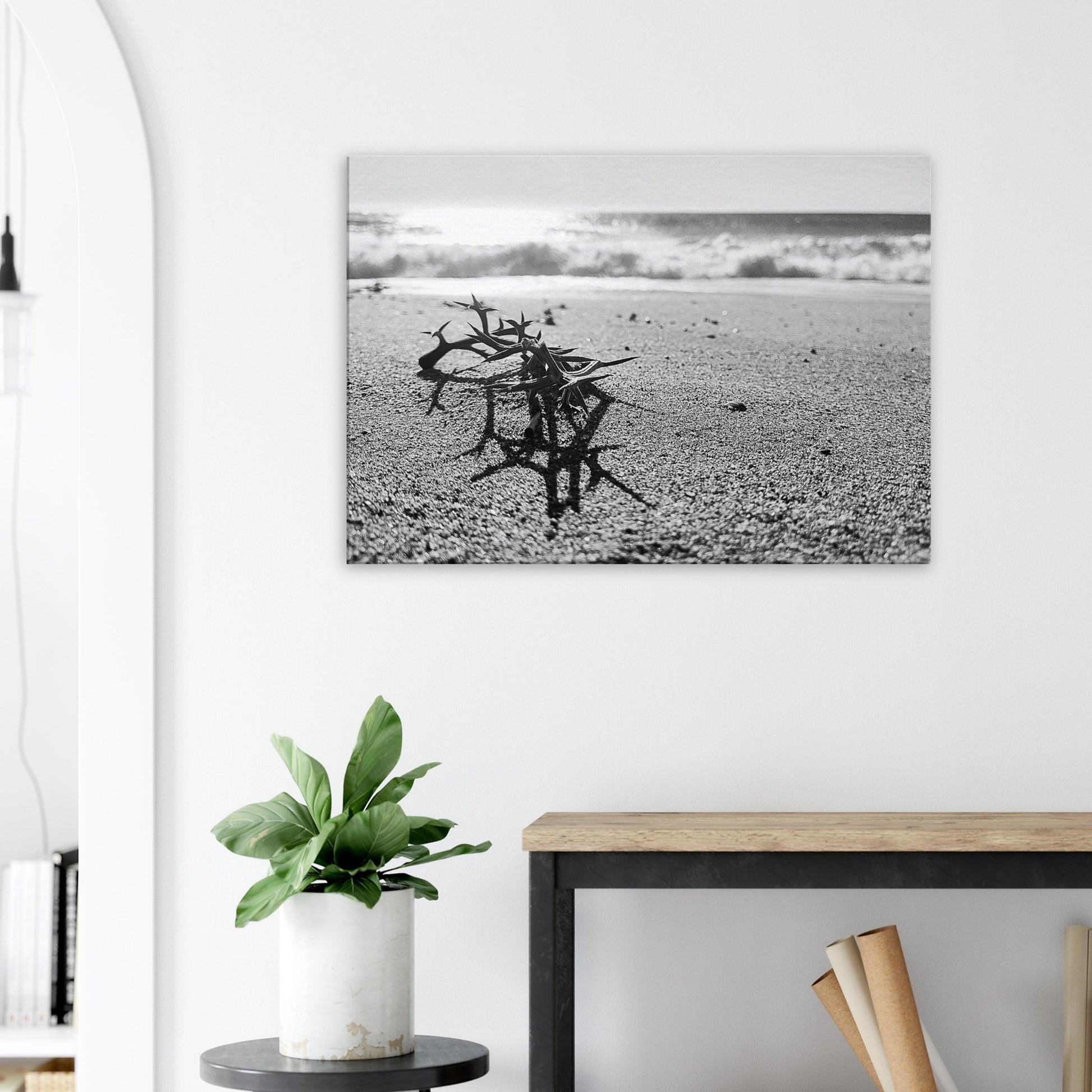 ad0072d7-cc50-49af-8017-0b5a4b47c329