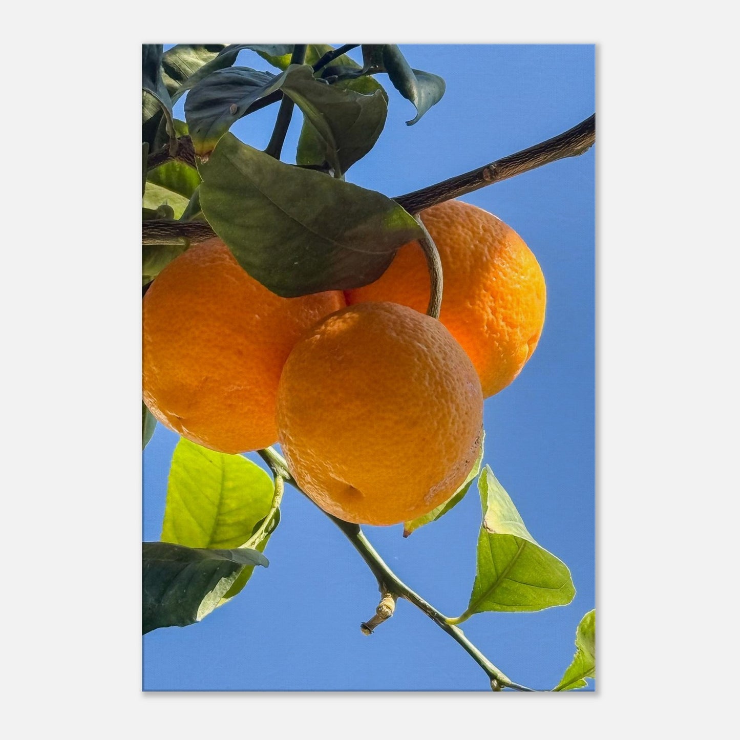 ad4d9289-0f6f-46ff-83f8-73b187fde184