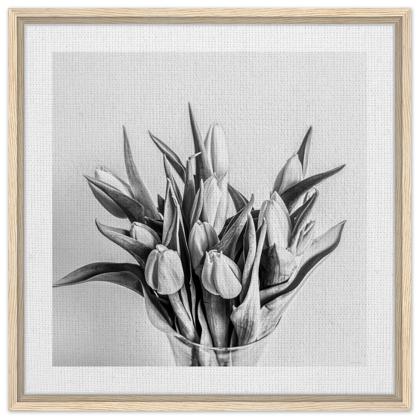 ad4e01b4-32da-4ab1-888c-bfb7928e5081