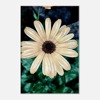 adb3a682-05ff-47f3-8e4e-7dfee41cf8cd