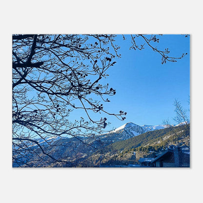 addb0a3b-e857-4d46-a718-ff0ea5e90293