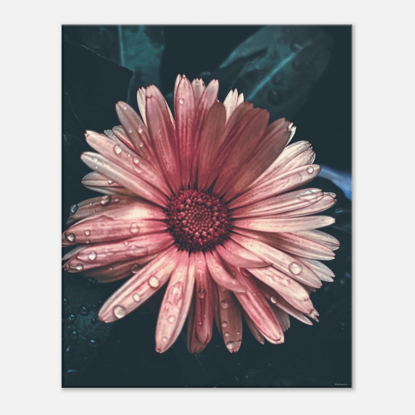 adee32c3-f511-45bf-83b3-341b70ae10a9