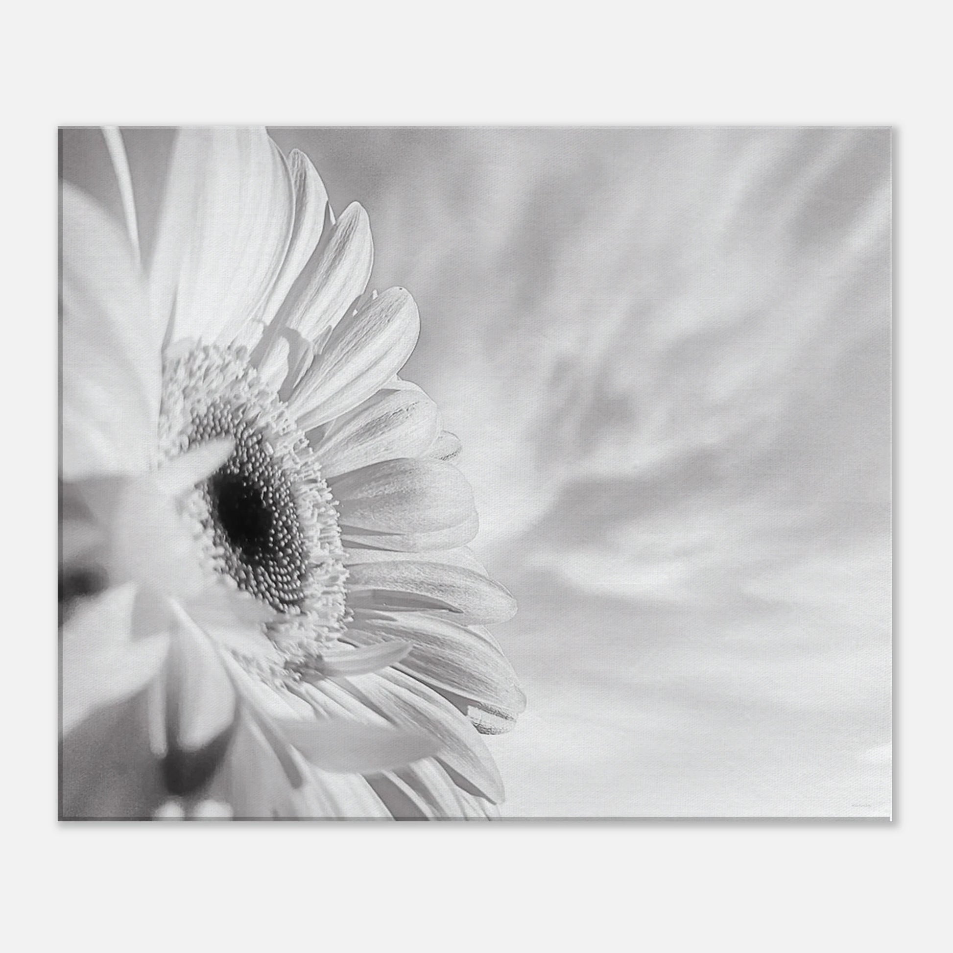 adf854d2-33f1-4a14-a33c-0be459e190d4