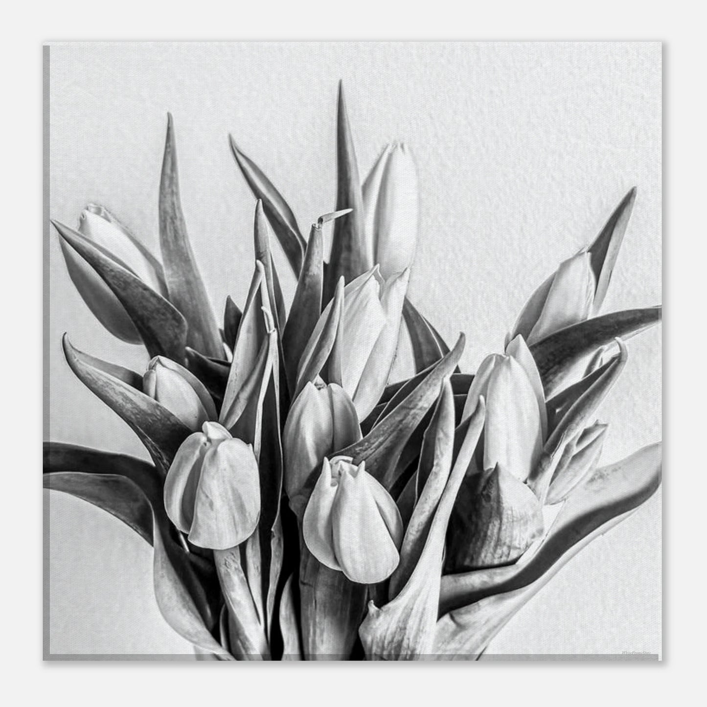 ae0f15f2-05cf-4e88-9f15-c5c673cffe95