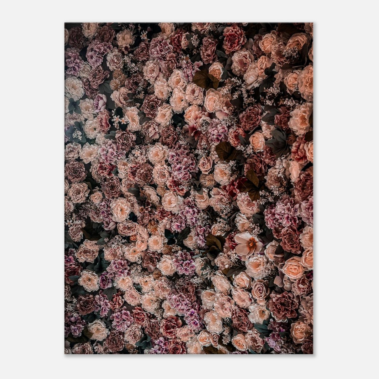 ae4860cf-42b0-4ae6-924e-308ec2045085