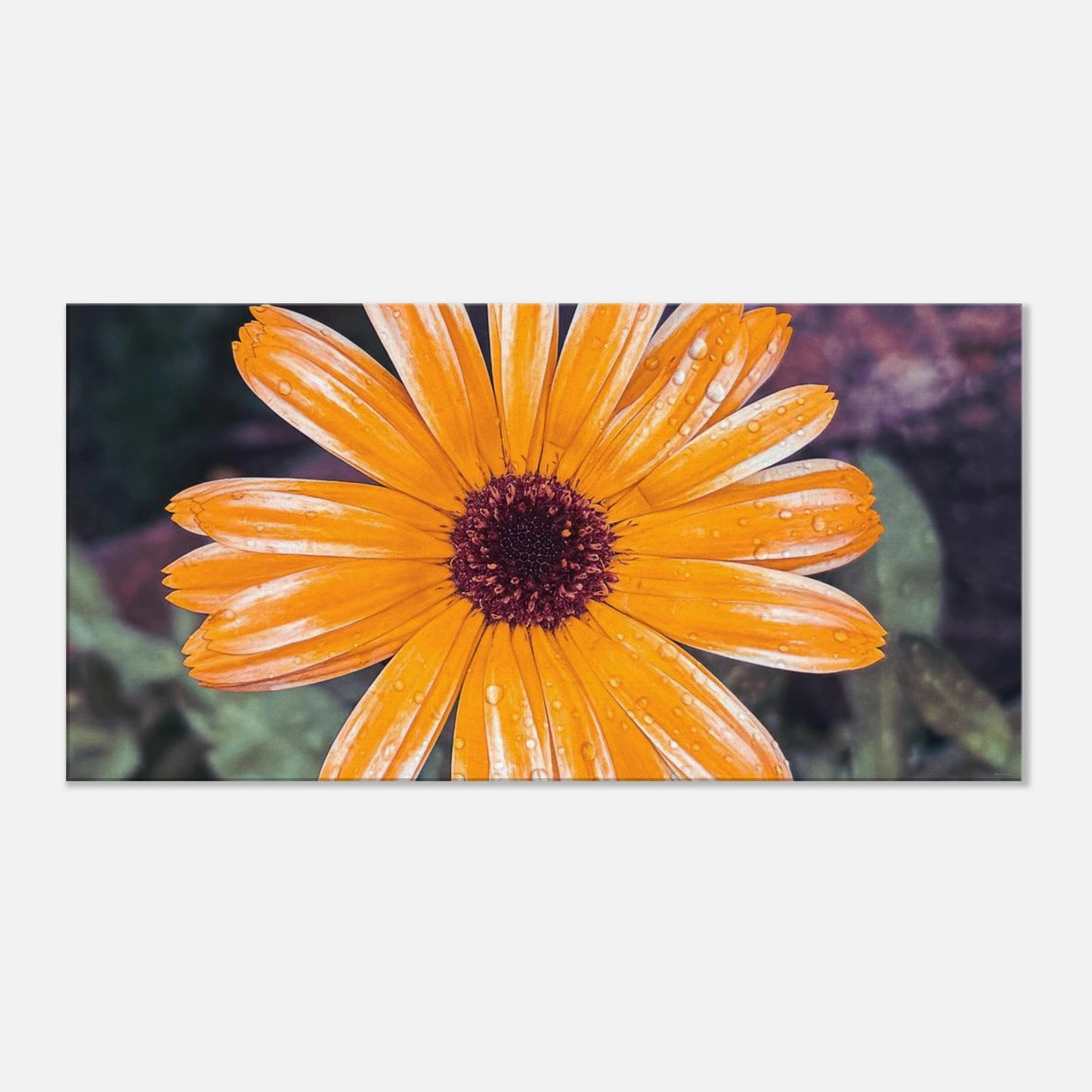 ae847065-1d0b-42e6-8468-2aebaf0633a2