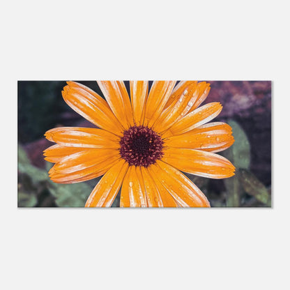 ae847065-1d0b-42e6-8468-2aebaf0633a2