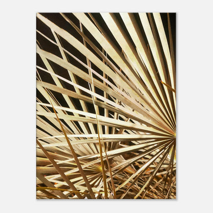 ae9b89bd-1e0e-40b0-95fb-6a779c0633b8