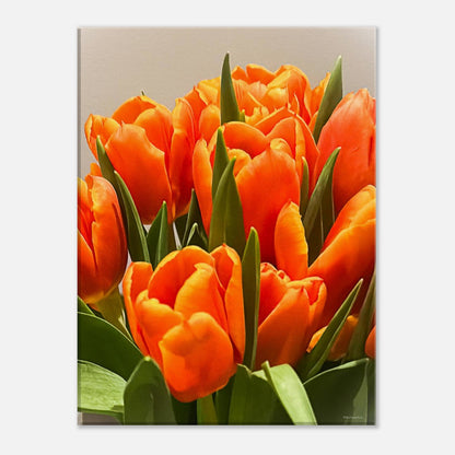 aea3ec2d-4b9c-4cad-a11b-0e1326d780ca
